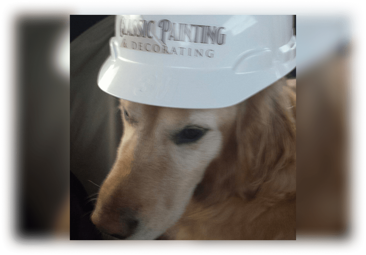 Classic Painting & Decorating, Inc.